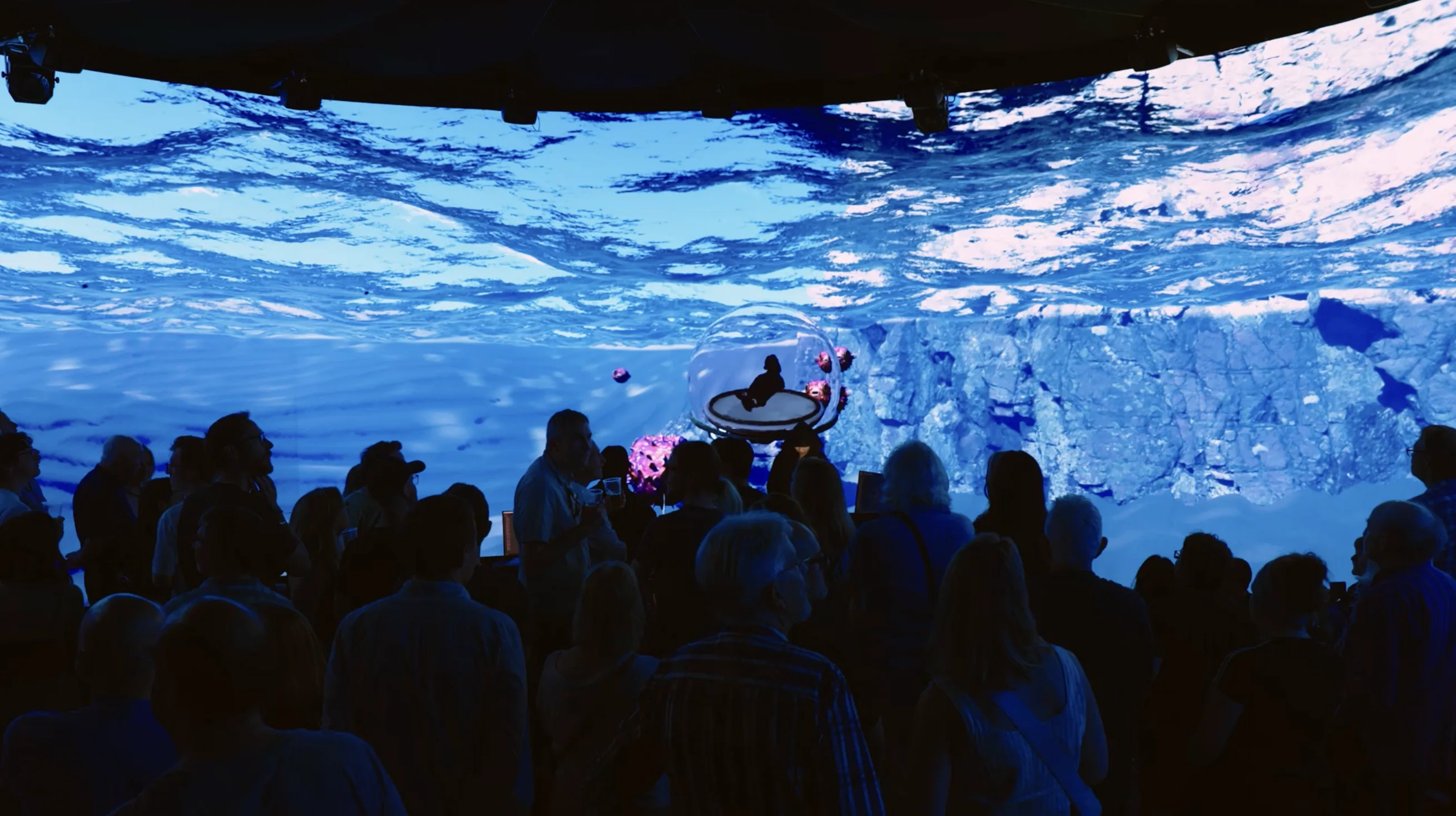 Calling Out Paid Alpha Testers for Underwater