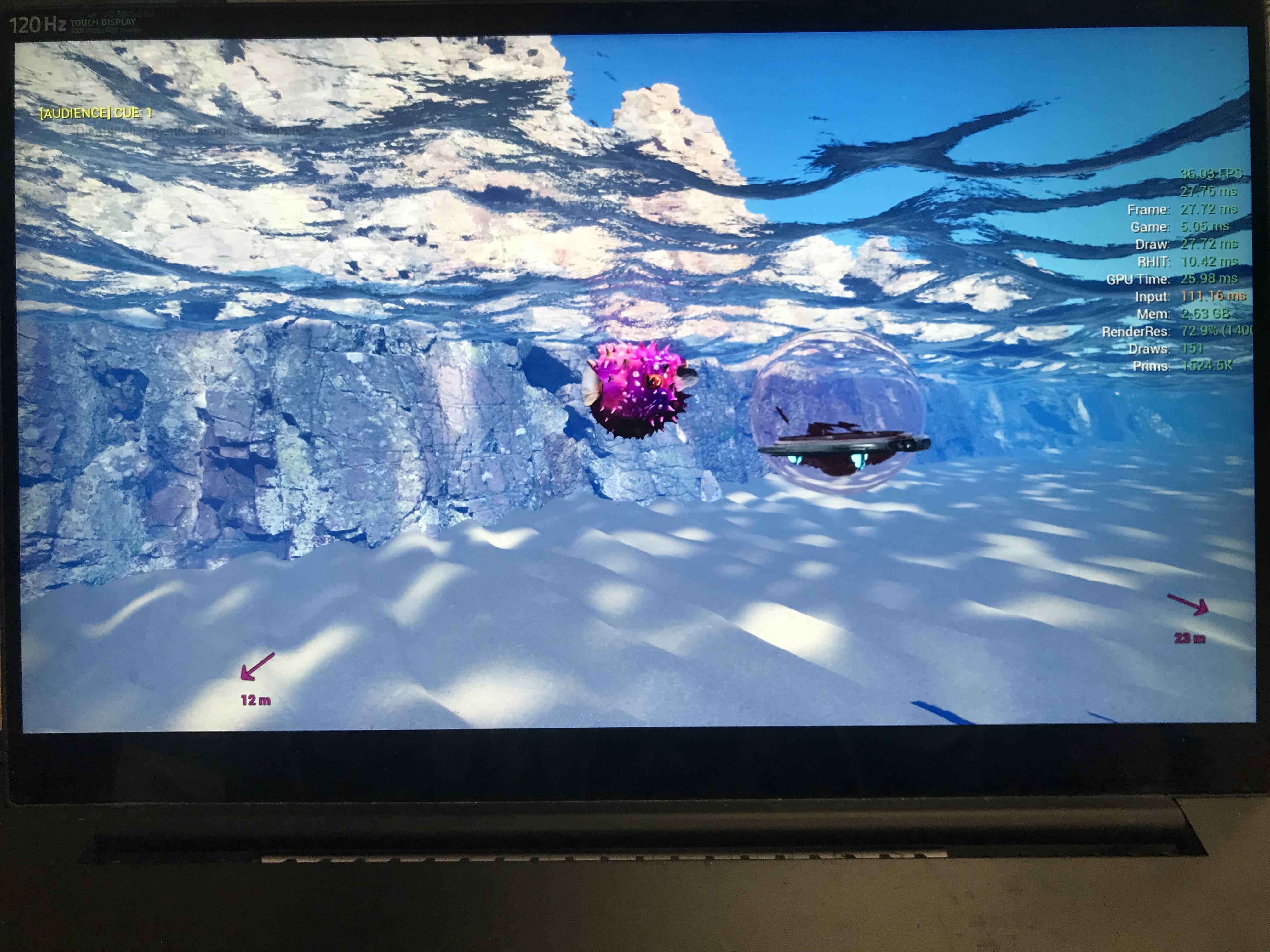 Underwater scene - D.S. 1