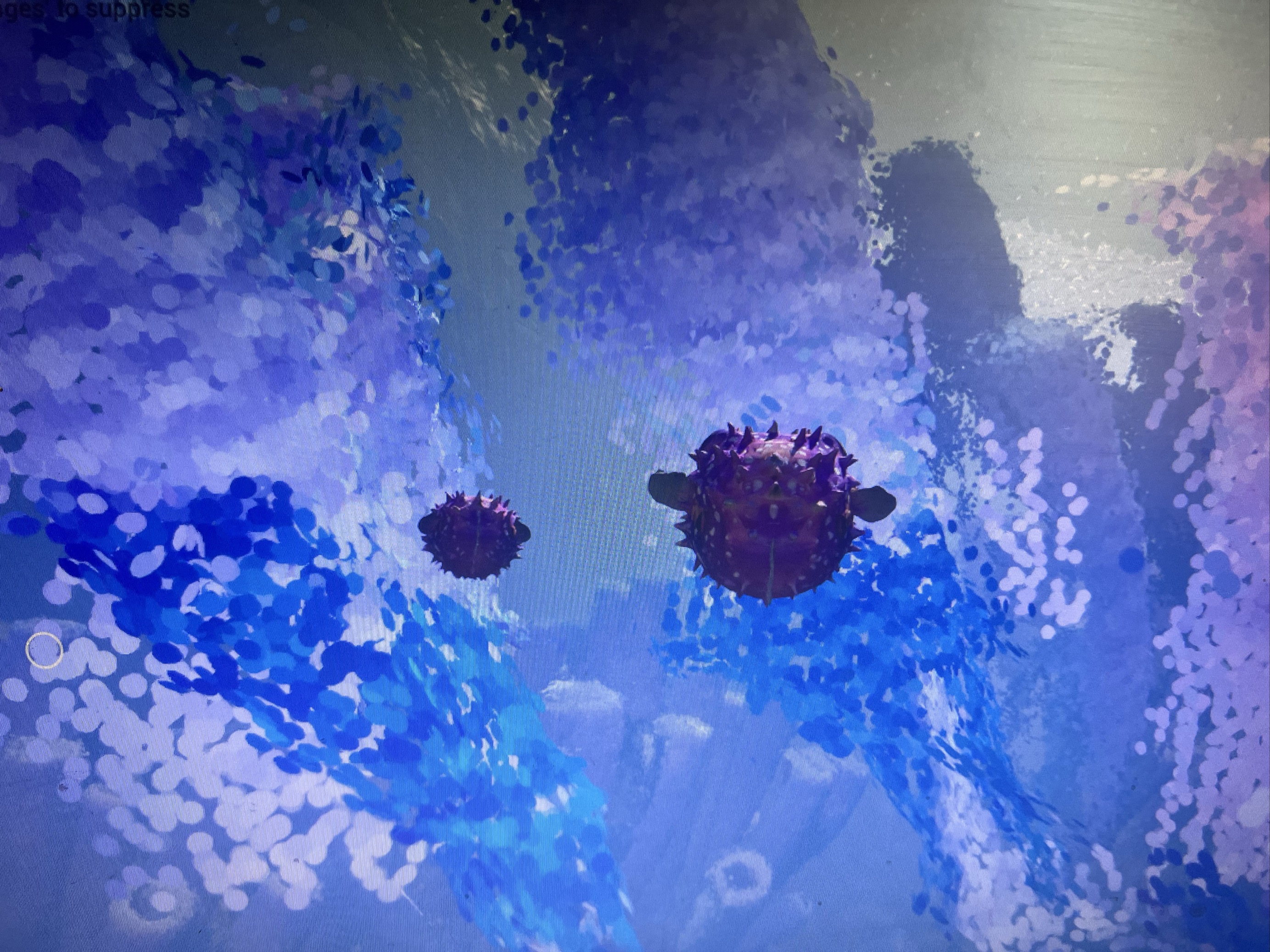 Underwater scene - S.M. 2