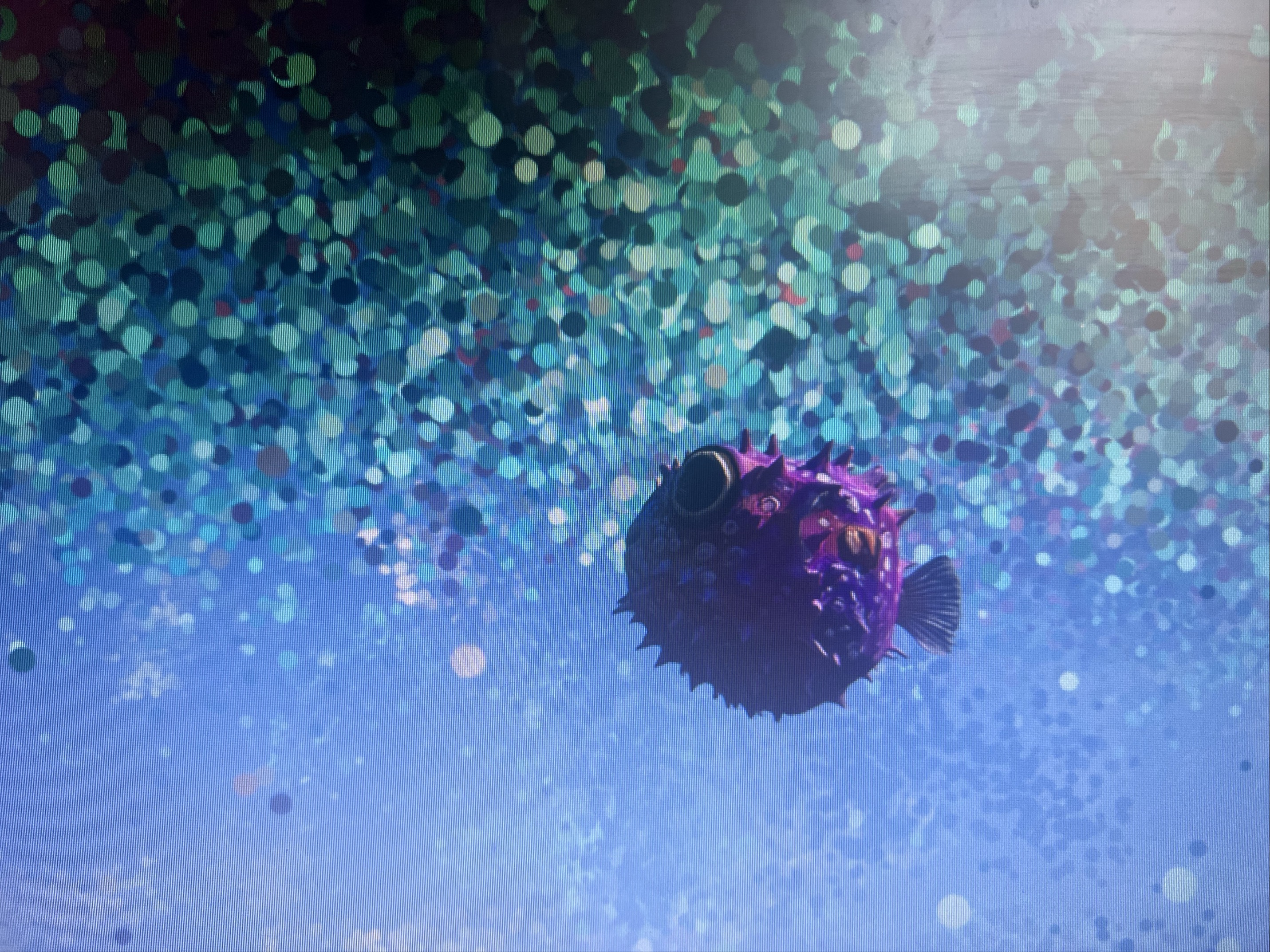 Underwater scene - S.M. 10