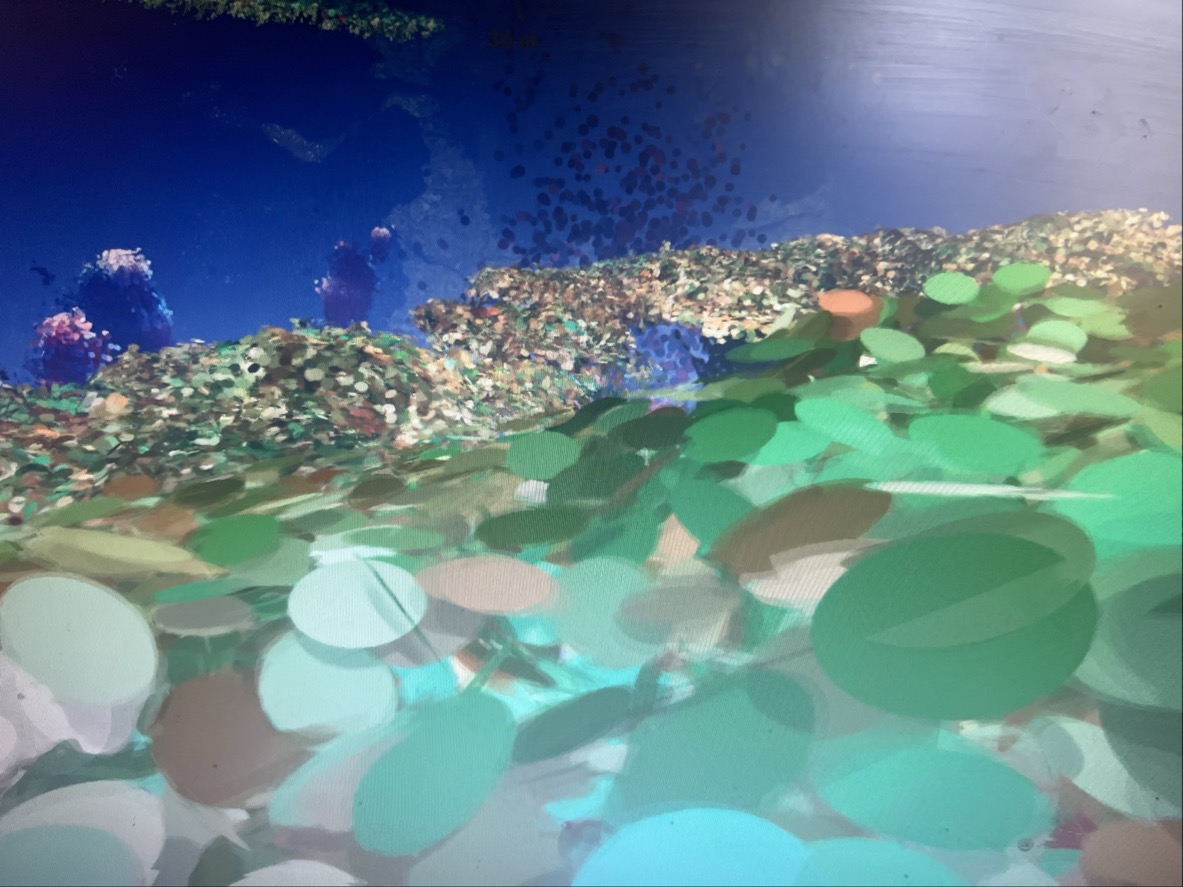 Underwater scene - S.M. 5